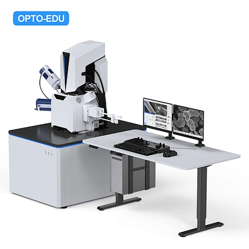 Schottky Field Emission Scanning Electron Microscope, 2500000x