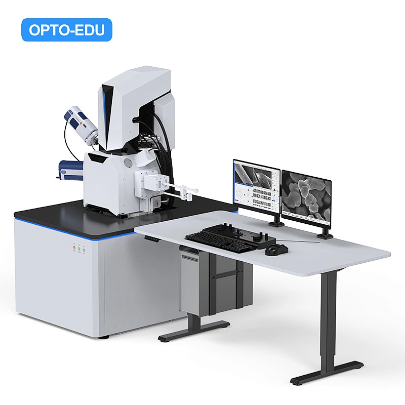 Schottky Field Emission Scanning Electron Microscope, 2500000x