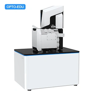 Schottky Field Emission Scanning Electron Microscope, 2500000x