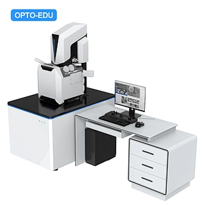 Schottky Field Emission Scanning Electron Microscope, 2500000x